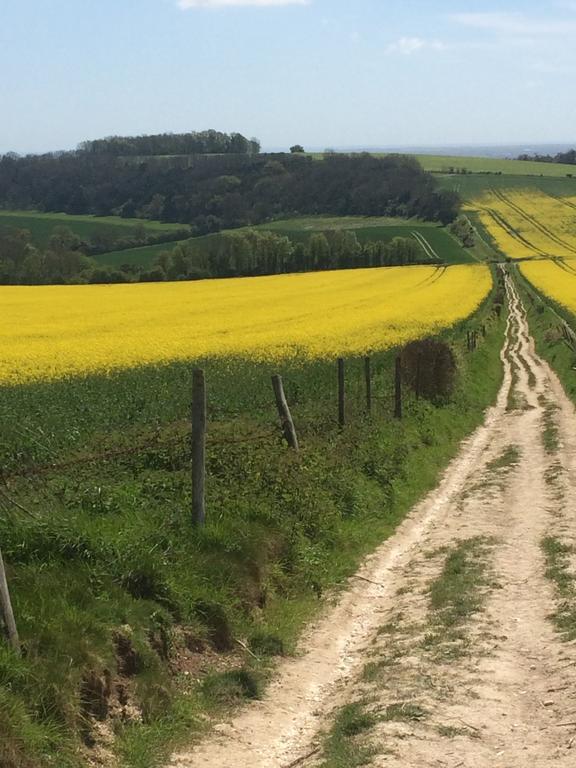 Shepherds Barn West Dean المظهر الخارجي الصورة